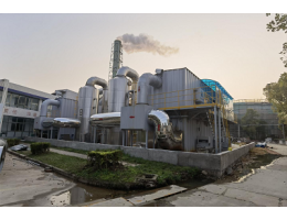 ĳҩ����������