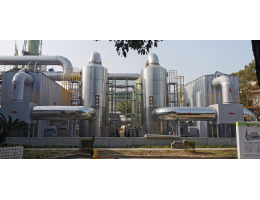 ĳҩ����������