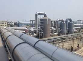 ĳ��������������