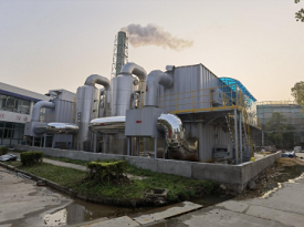 ĳҩ����������