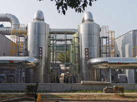 ĳҩ����������